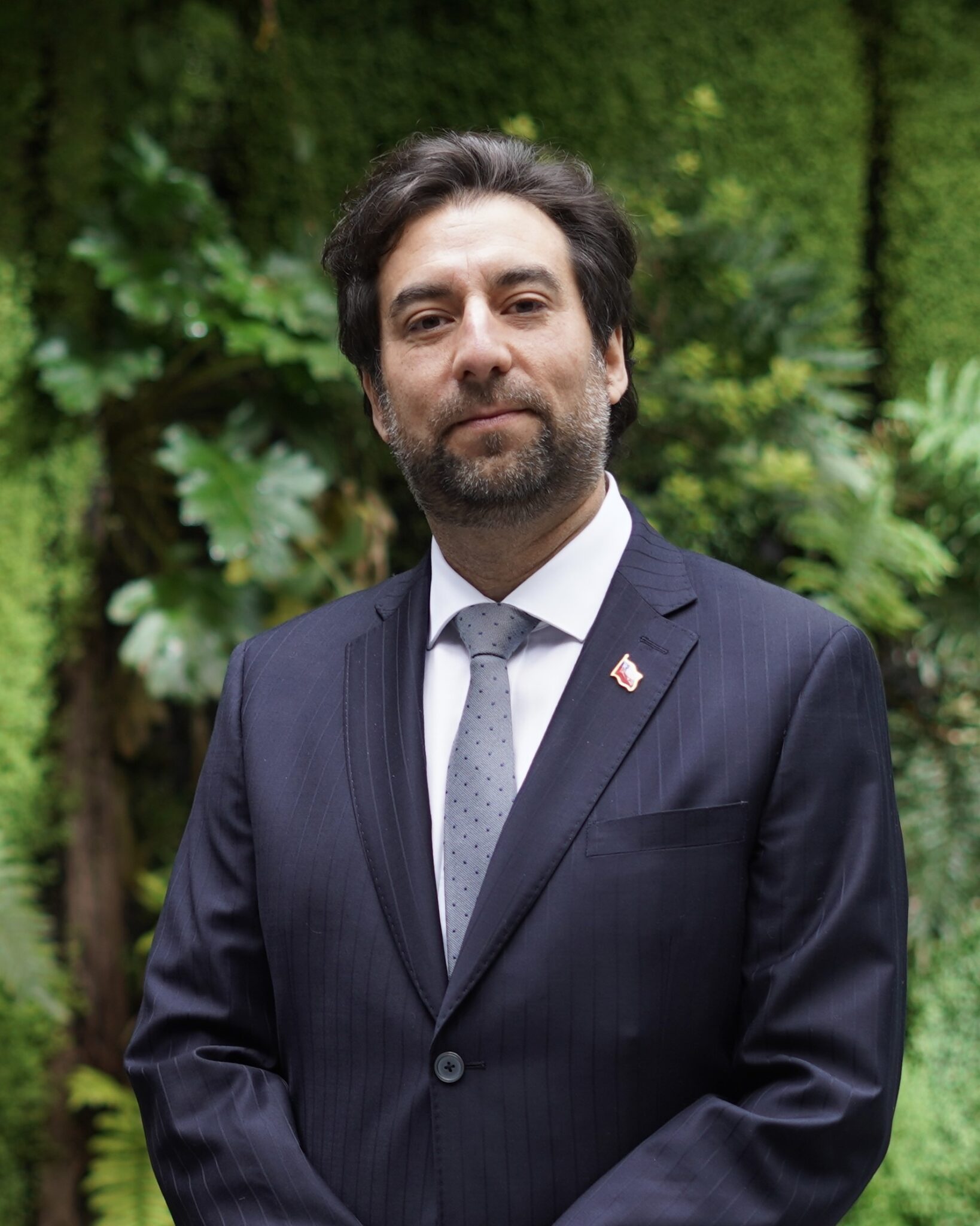 Patricio Alejandro Ponce Arqueros